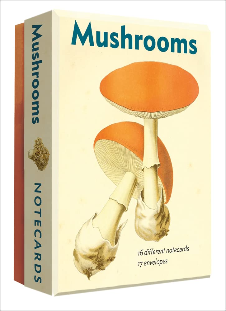 Mushroom Notecards