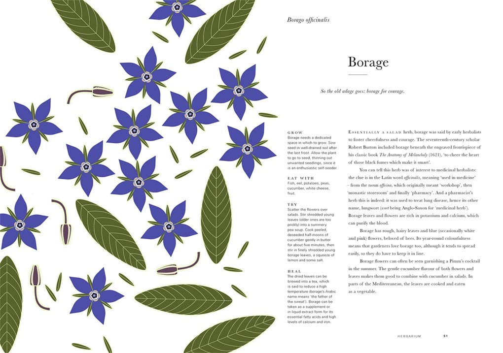 Herbarium Cookbook