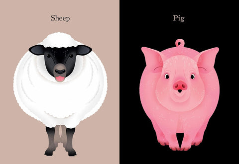 Animal Portraits