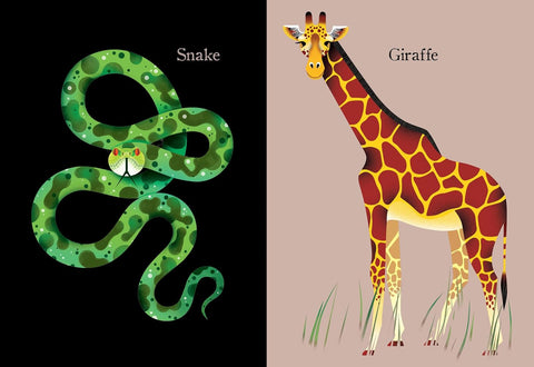Animal Portraits