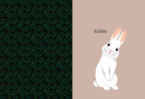 Animal Portraits