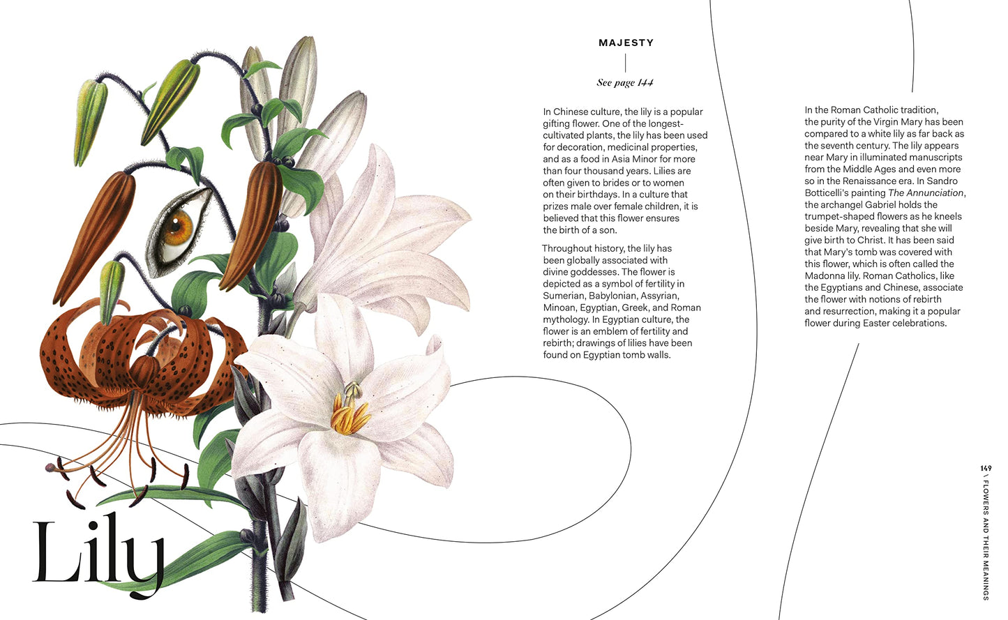 Flowers and Their Meanings