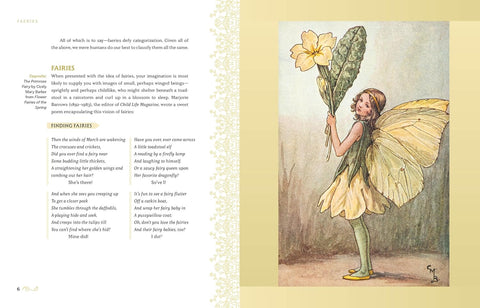 Faeries: A History in Art