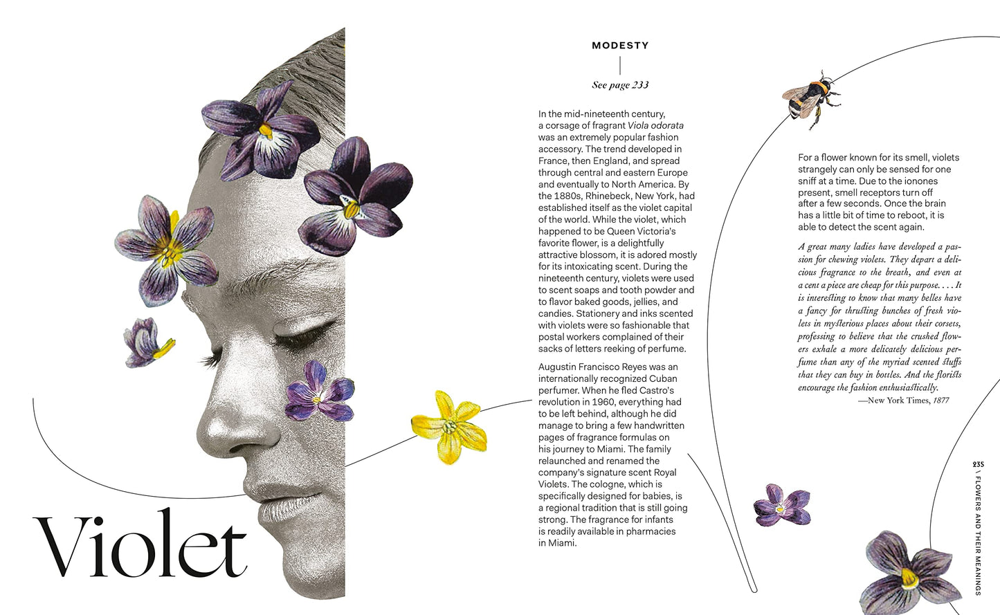 Flowers and Their Meanings