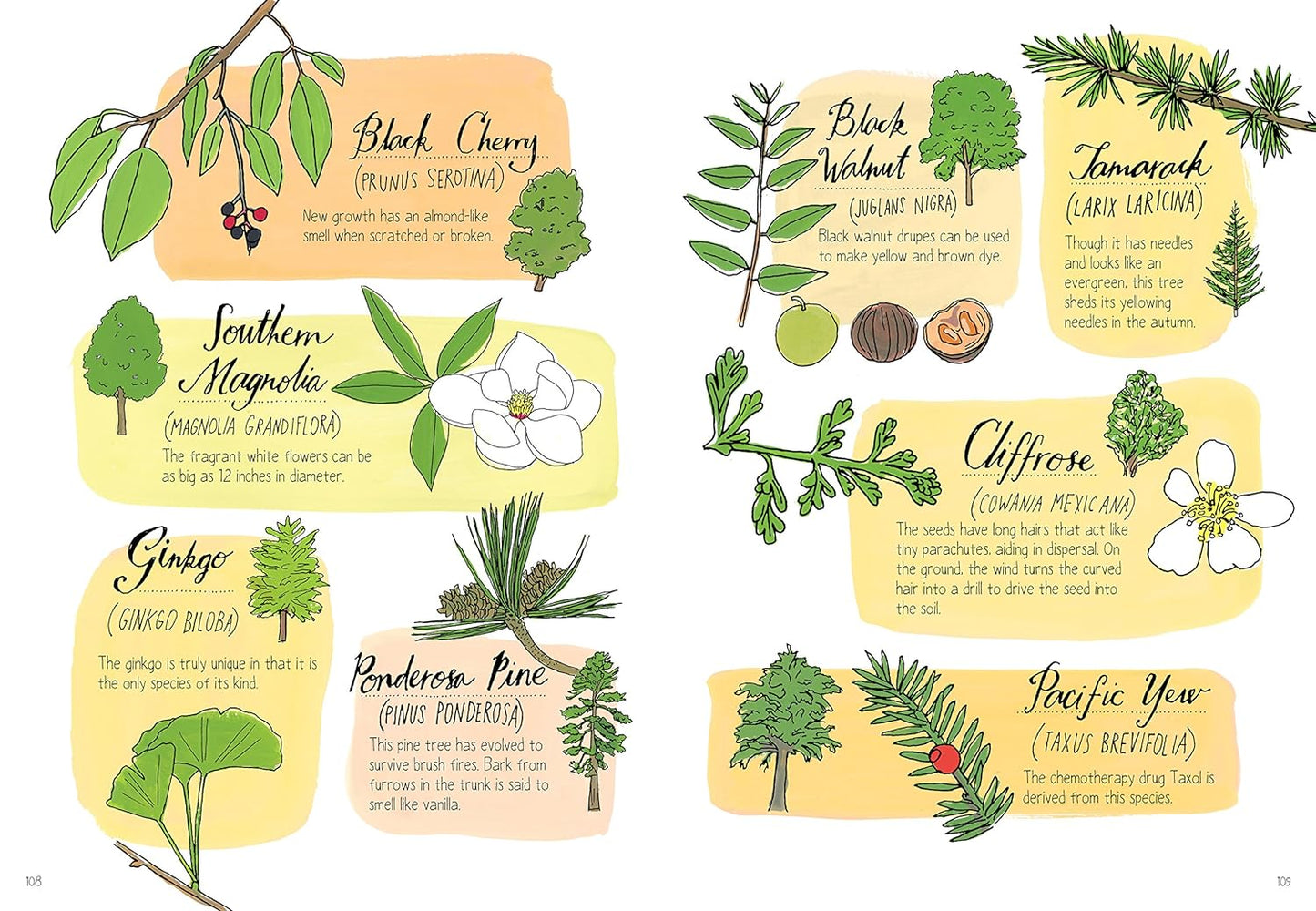 Nature Anatomy The Curious Parts and Pieces of the Natural World