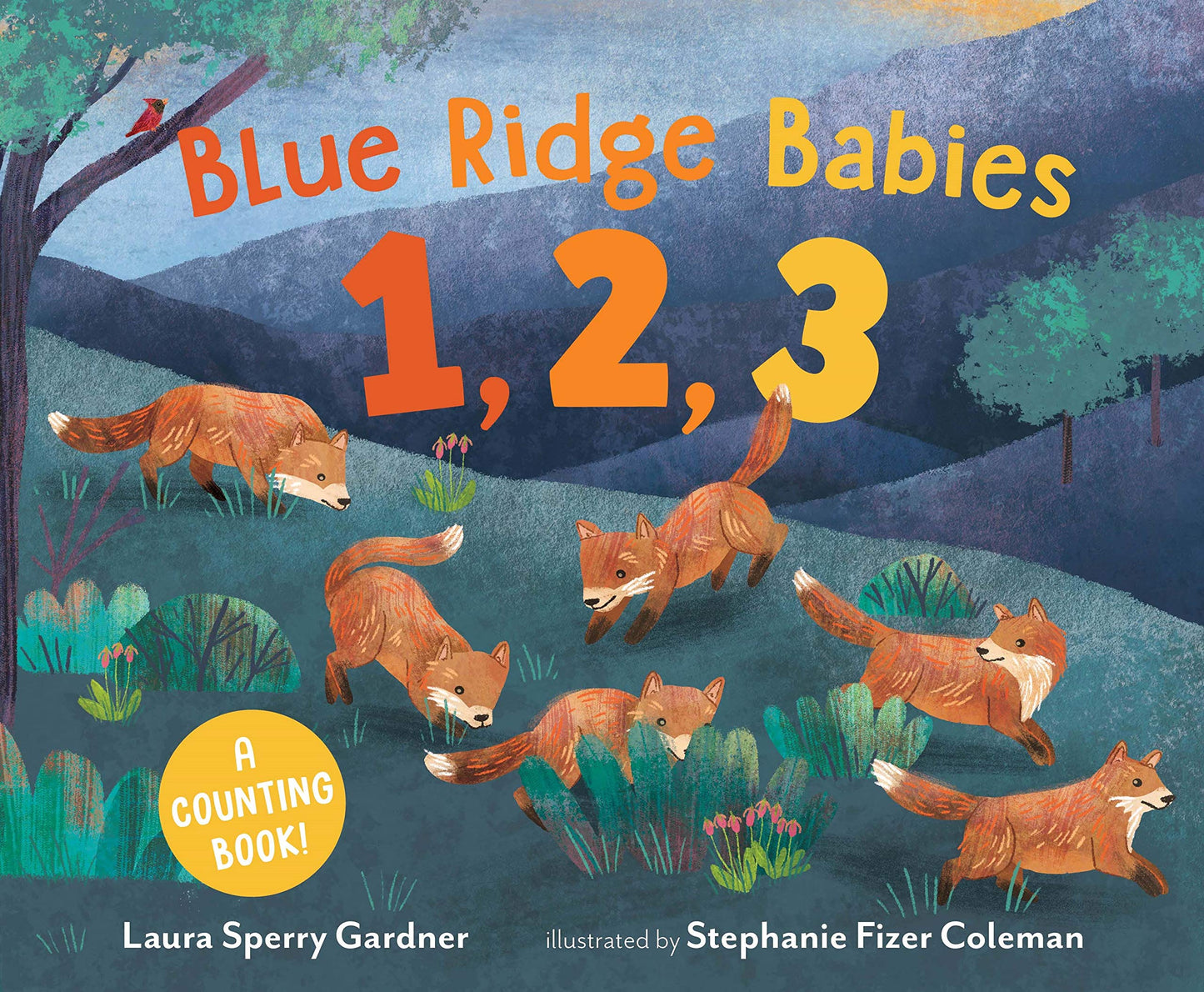 Blue Ridge Babies