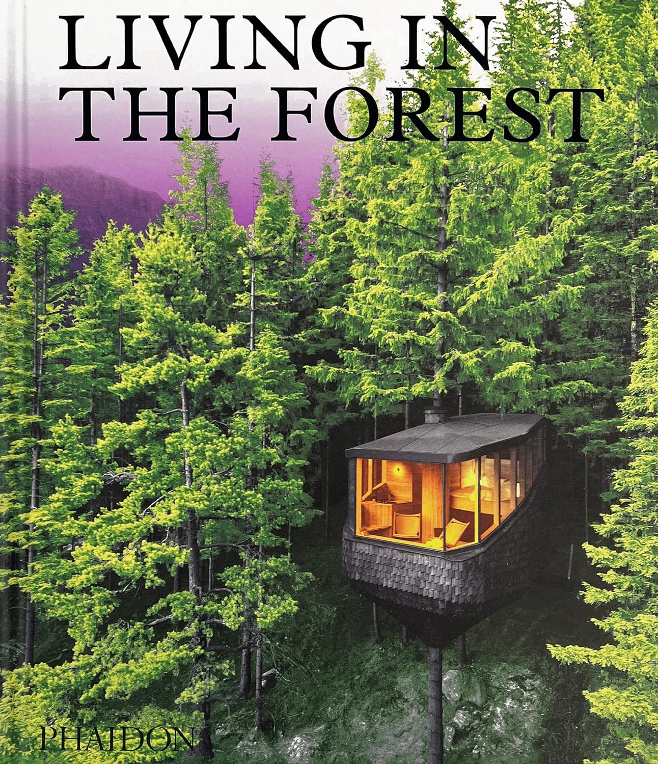 Living in the Forest: Contemporary Houses in the Woods