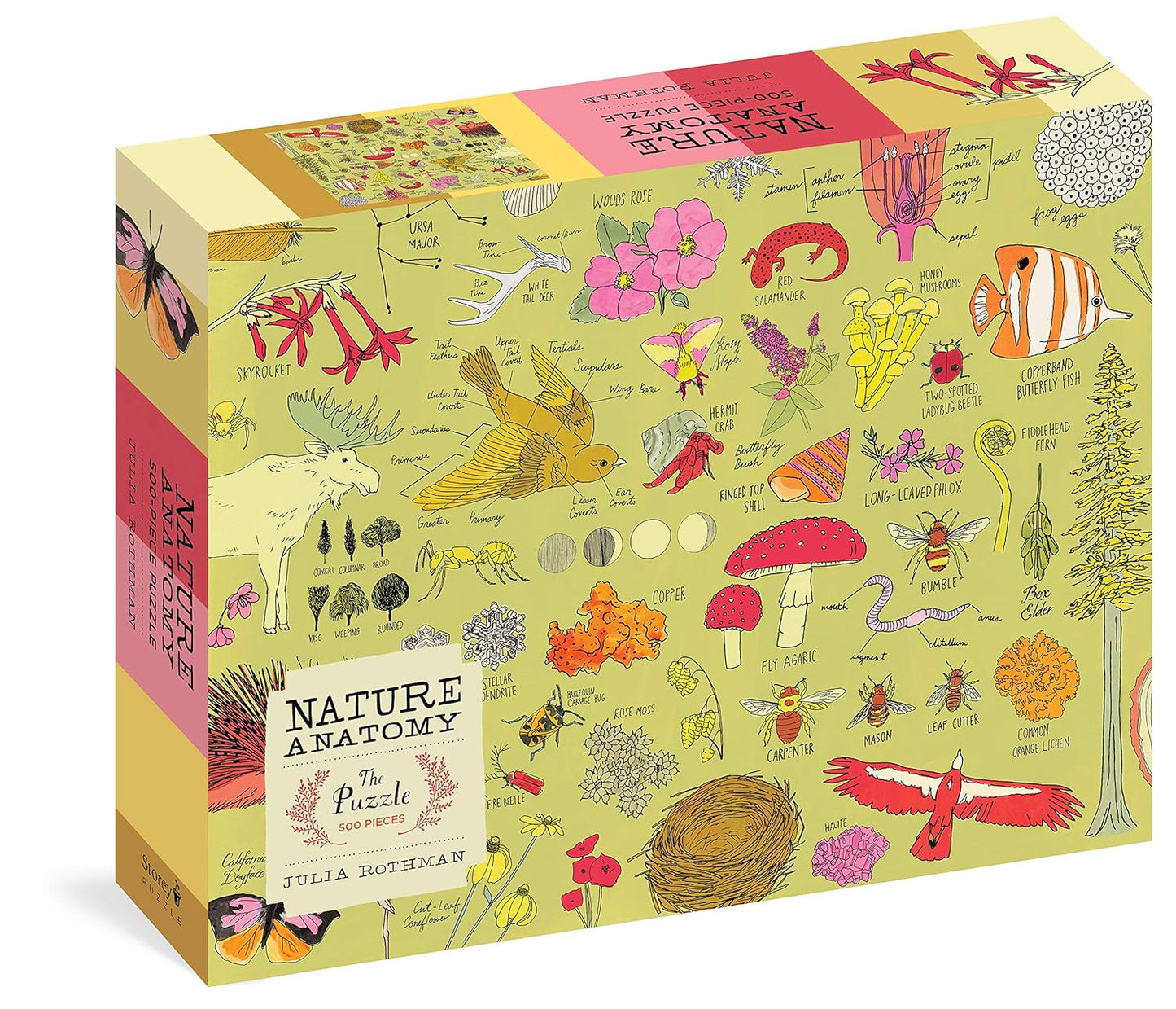 Nature Anatomy: The Puzzle