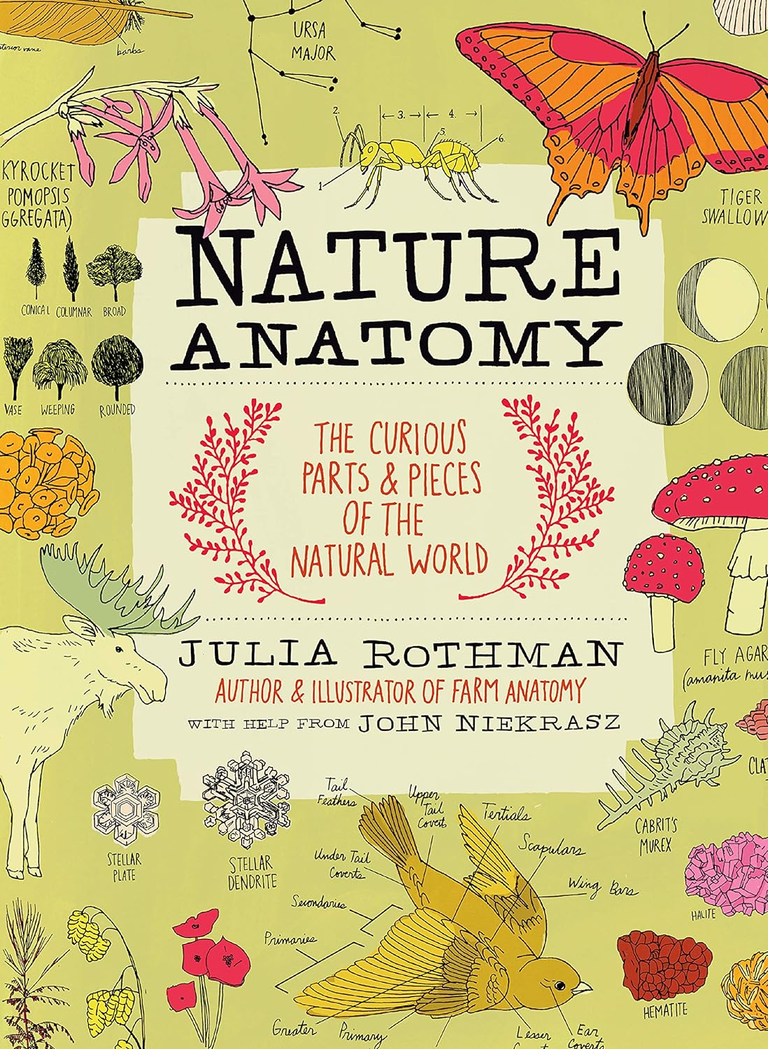 Nature Anatomy The Curious Parts and Pieces of the Natural World