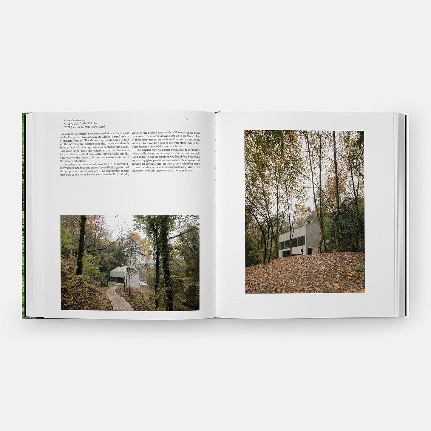 Living in the Forest: Contemporary Houses in the Woods