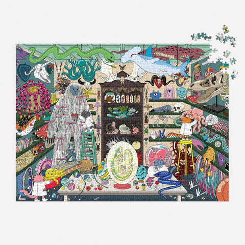 World of Curiosities Puzzle
