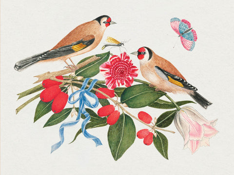 Flowers, Birds, & Butterflies Celebration Boxed Notecards