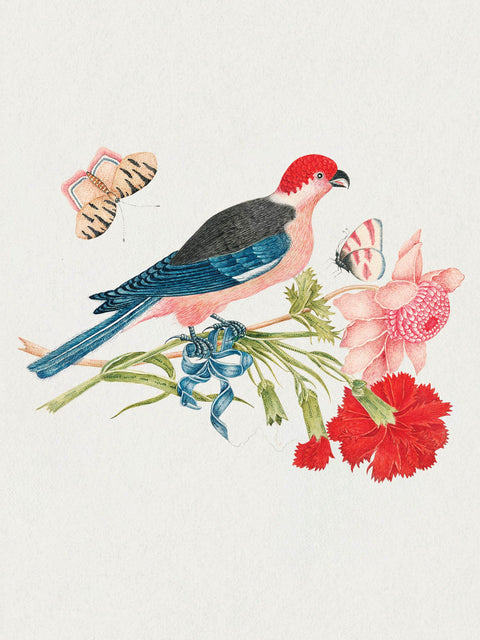 Flowers, Birds, & Butterflies Celebration Boxed Notecards