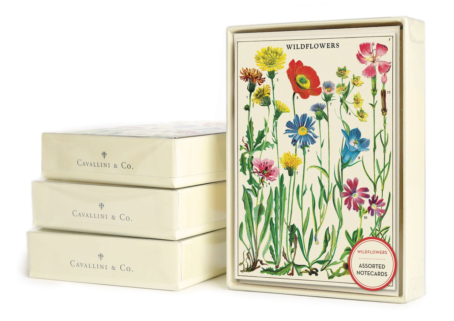 Wildflowers Boxed Notecards