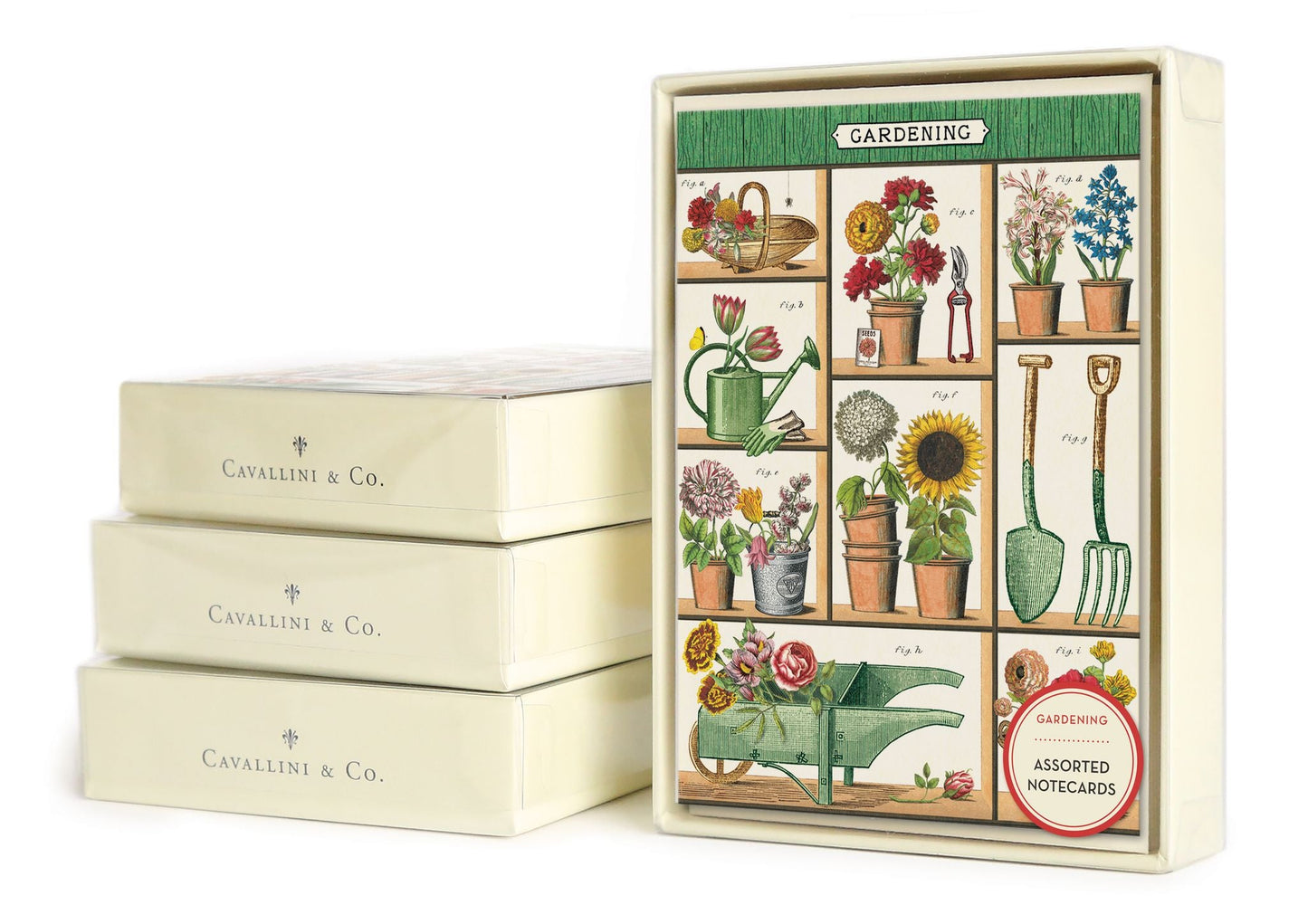 Gardening Boxed Notecards