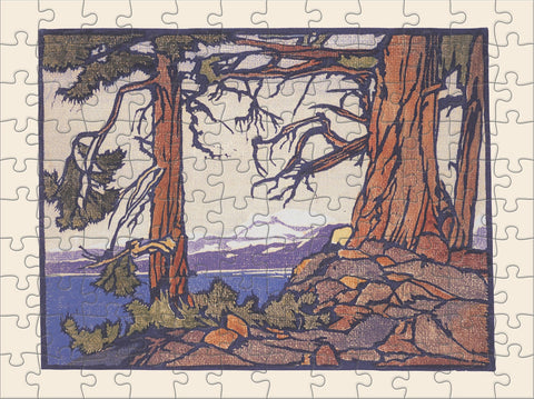 William S. Rice 120-Piece Double Sided Puzzle