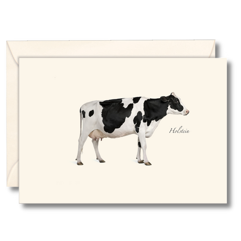 Holstein Nature Notes