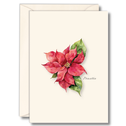 Poinsettia Nature Notes