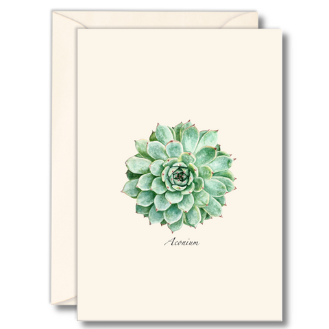 Succulent Nature Notes
