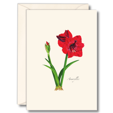 Nature Notes