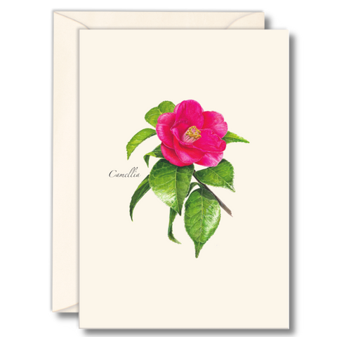 Nature Notes