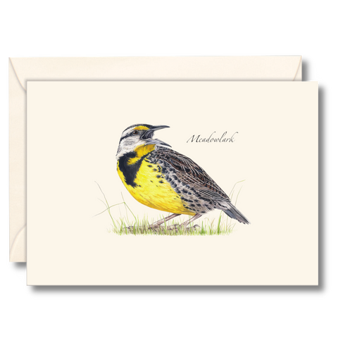 Nature Notes