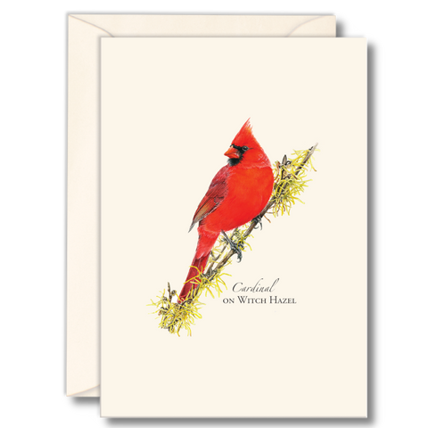 Nature Notes