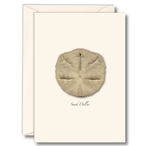 Sand Dollar Nature Notes