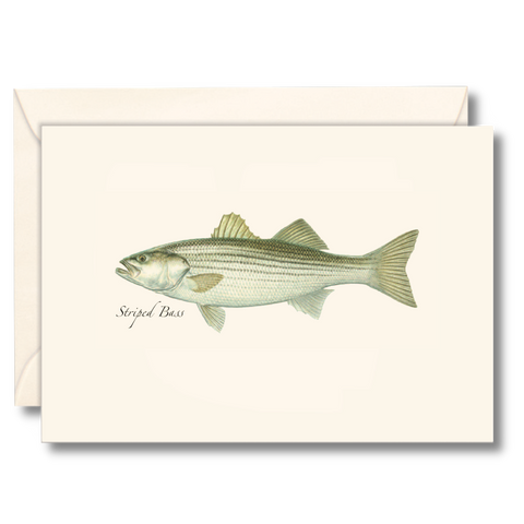 Striped Bass Nature Notes