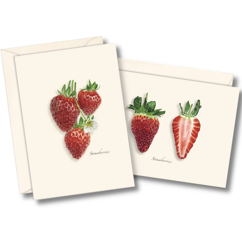 Strawberry Nature Notes