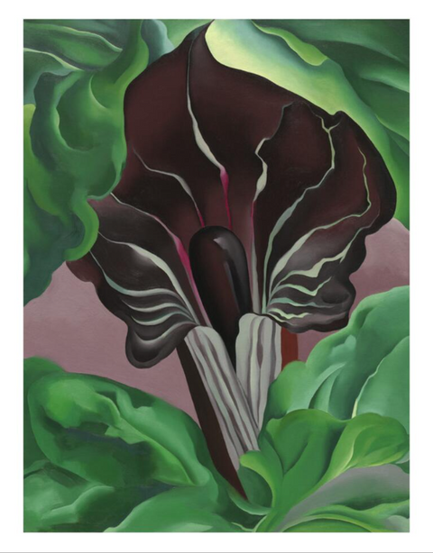 NGA LOAN 11x14 Unframed Print
