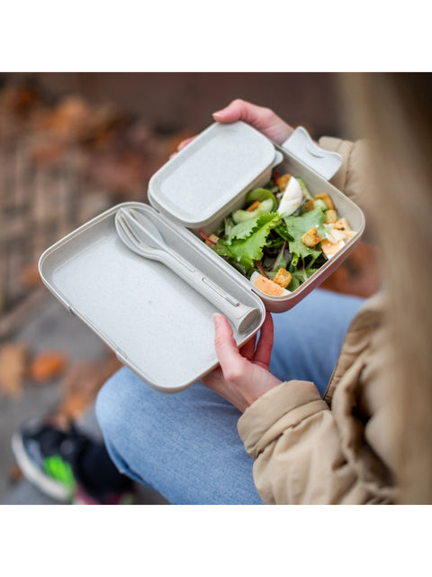 Lunch Box Set with Cutlery Set