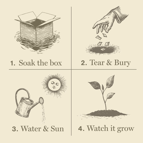 Plant the Box 4 oz Diffuser