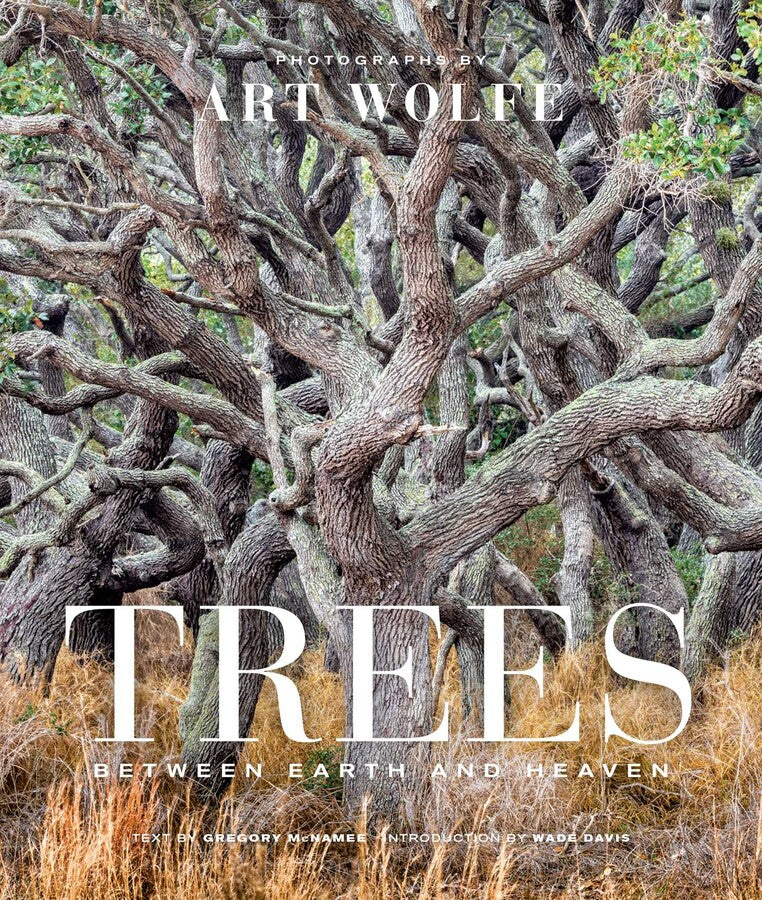 Trees RFMT