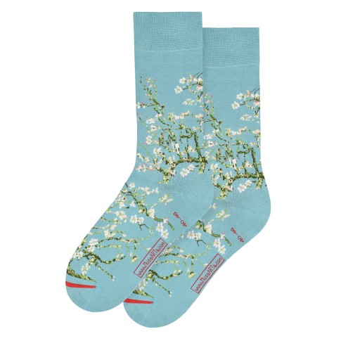 Almond Blossom F1