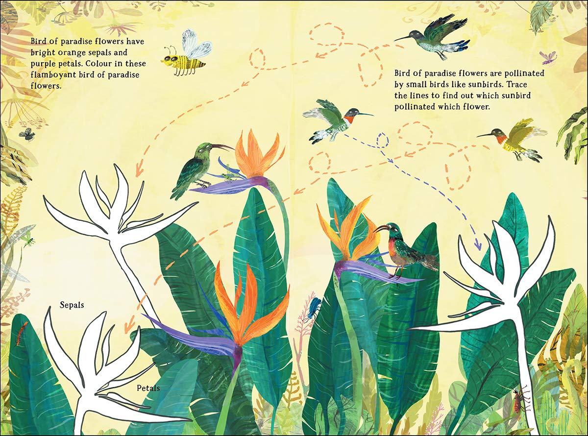 Big Sticker Book of Blooms