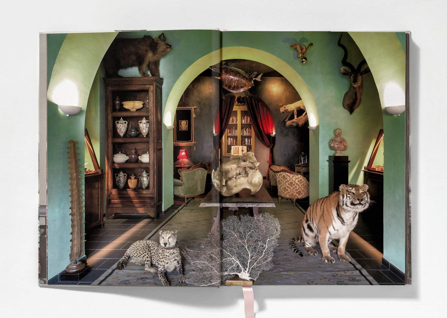 Cabinet Of Curiosities