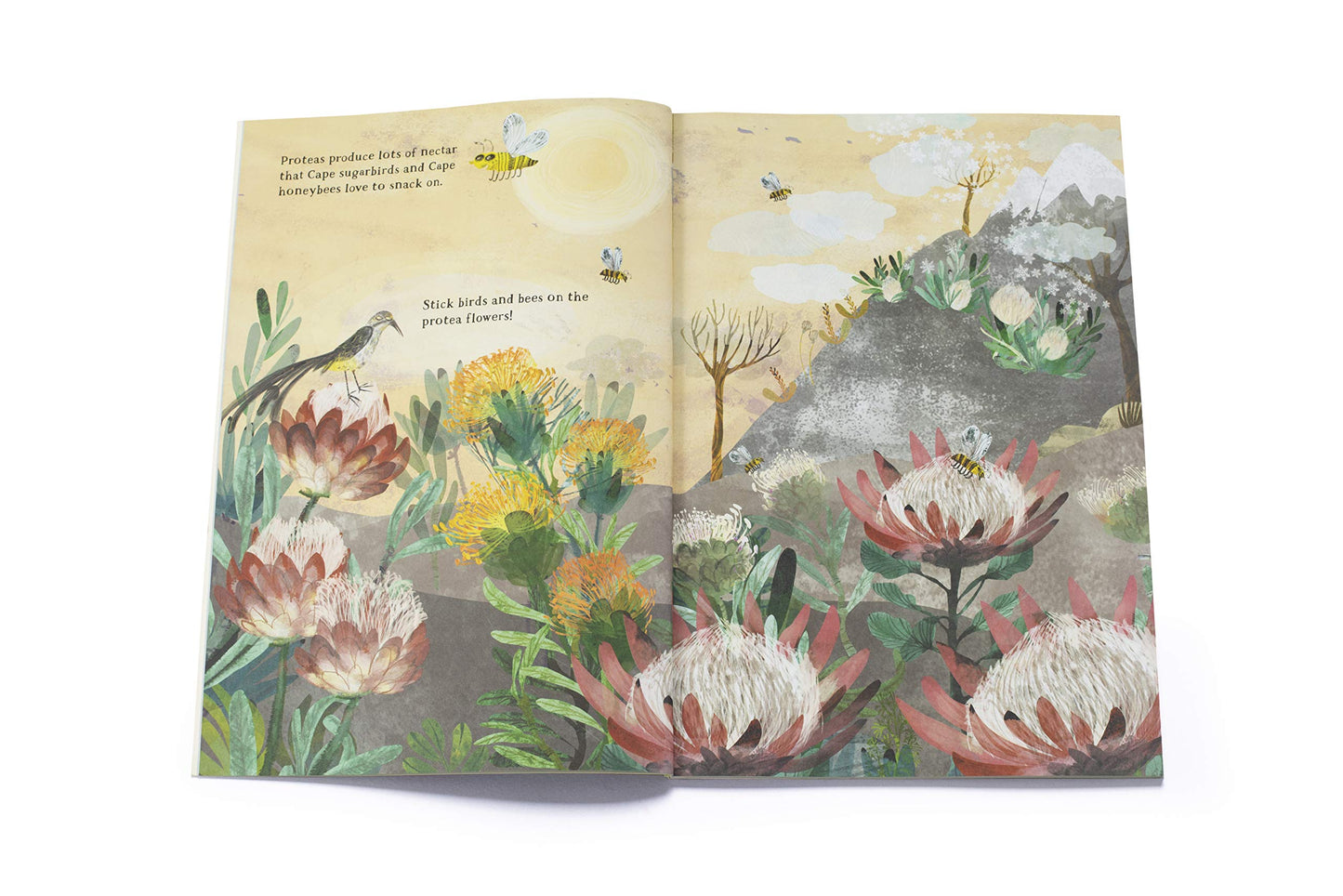 Big Sticker Book of Blooms