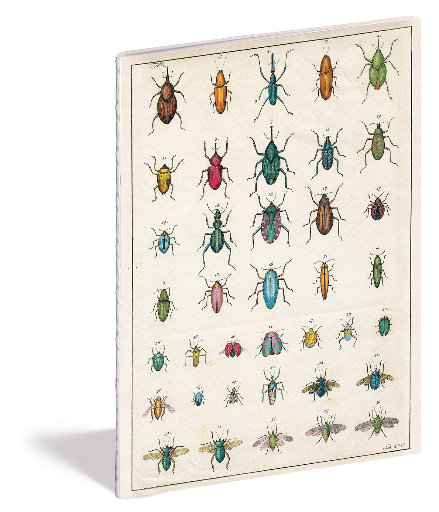In The Garden John Derian Notebook Set