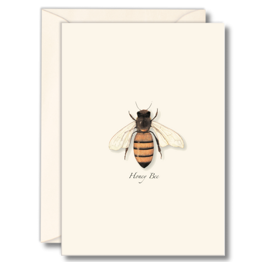 Honey Bee Nature Notes