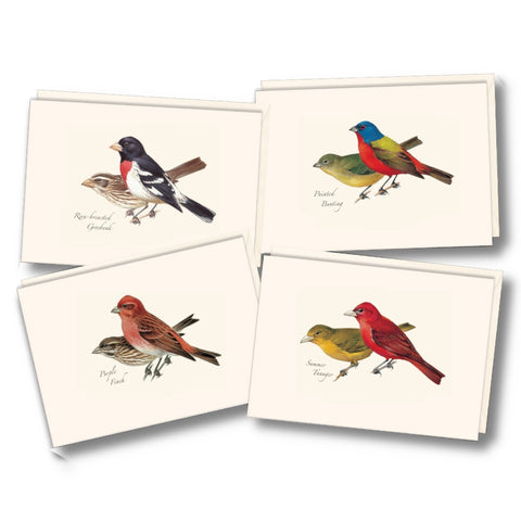 Peterson Bird Assortment Nature Notes