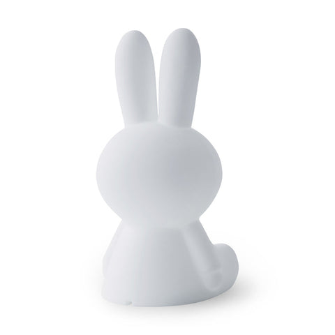 Miffy Light with Floor Lamp - Mint Museum Store