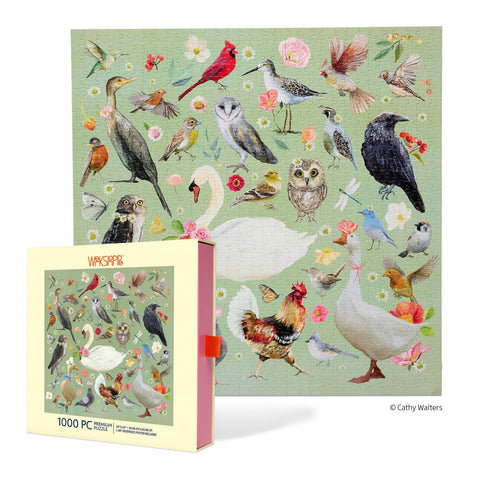 Beautiful Birds