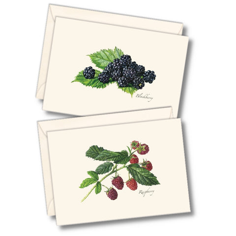 Berry Nature Notes