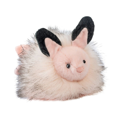 Skimmer Sea Bunny