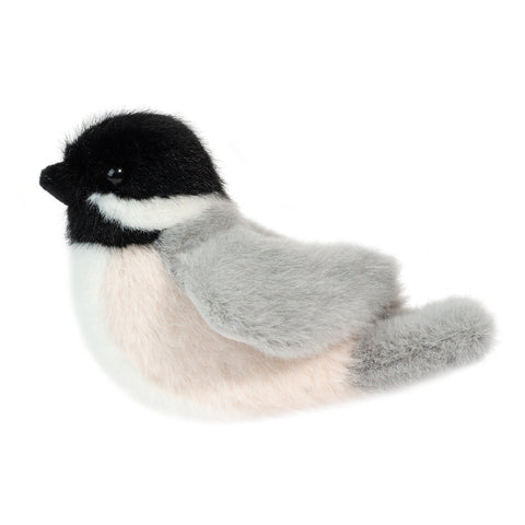Chickadee Bird