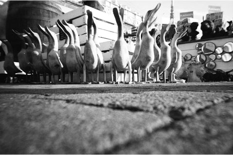 Simple Use Camera 400/27 Black and White