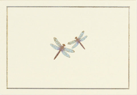 Two dragonfly illustrations on a beige background with a decorative border.
