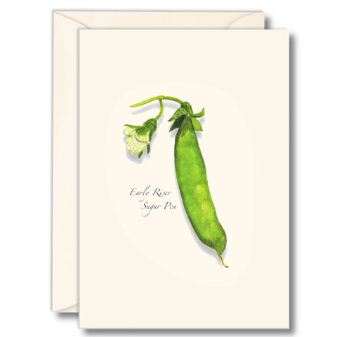 Heirloom Peas Nature Notes