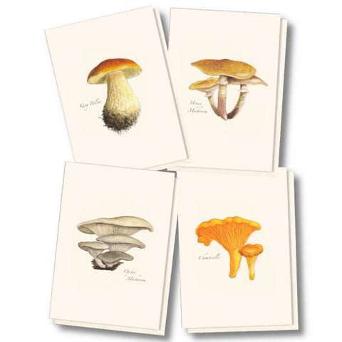 Edible Mushroom Nature Notes